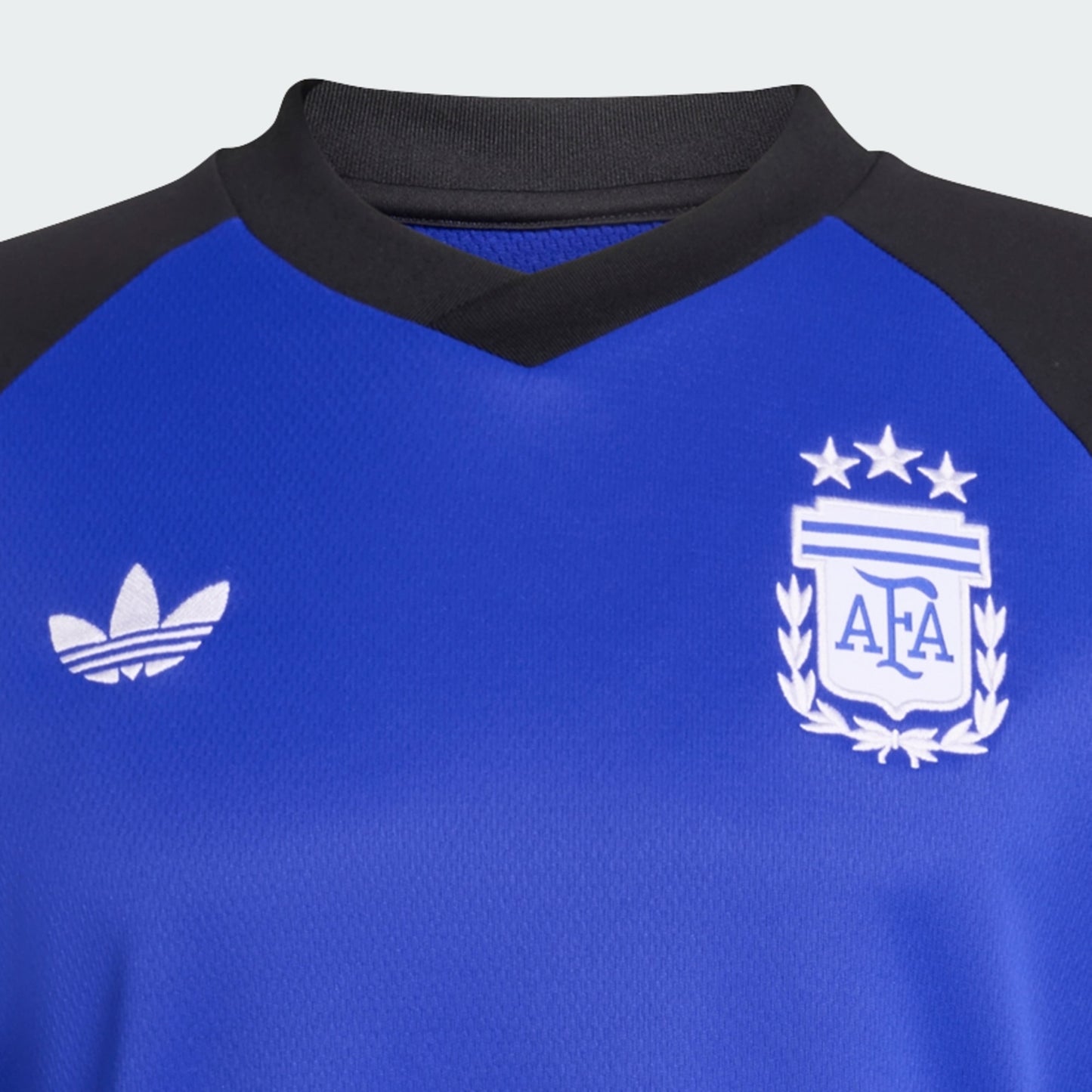 Buzo Alternativo Prepartido Selección Argentina 26 Calentamiento