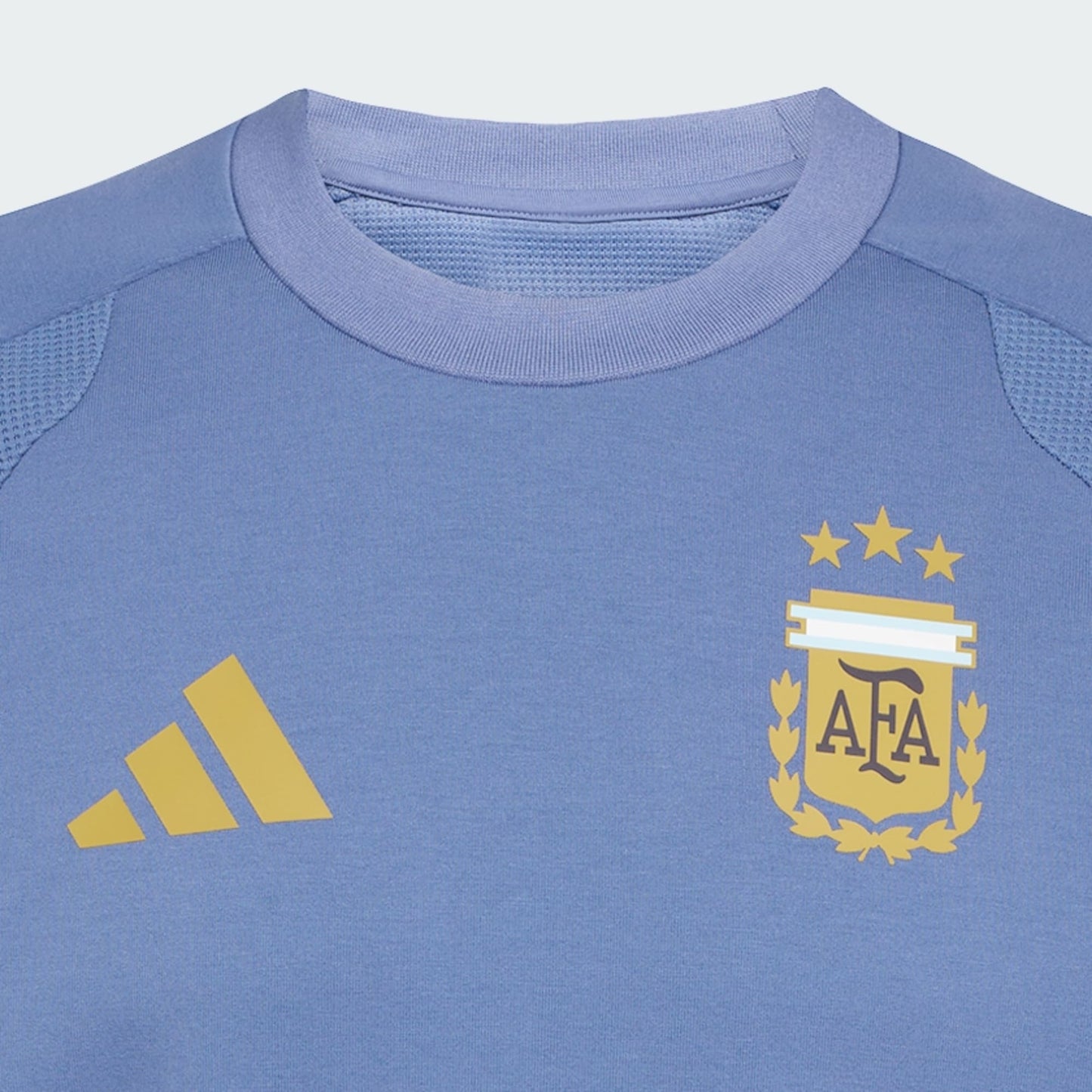 Buzo Tiro Travel Selección Argentina 26 Cuello Redondo